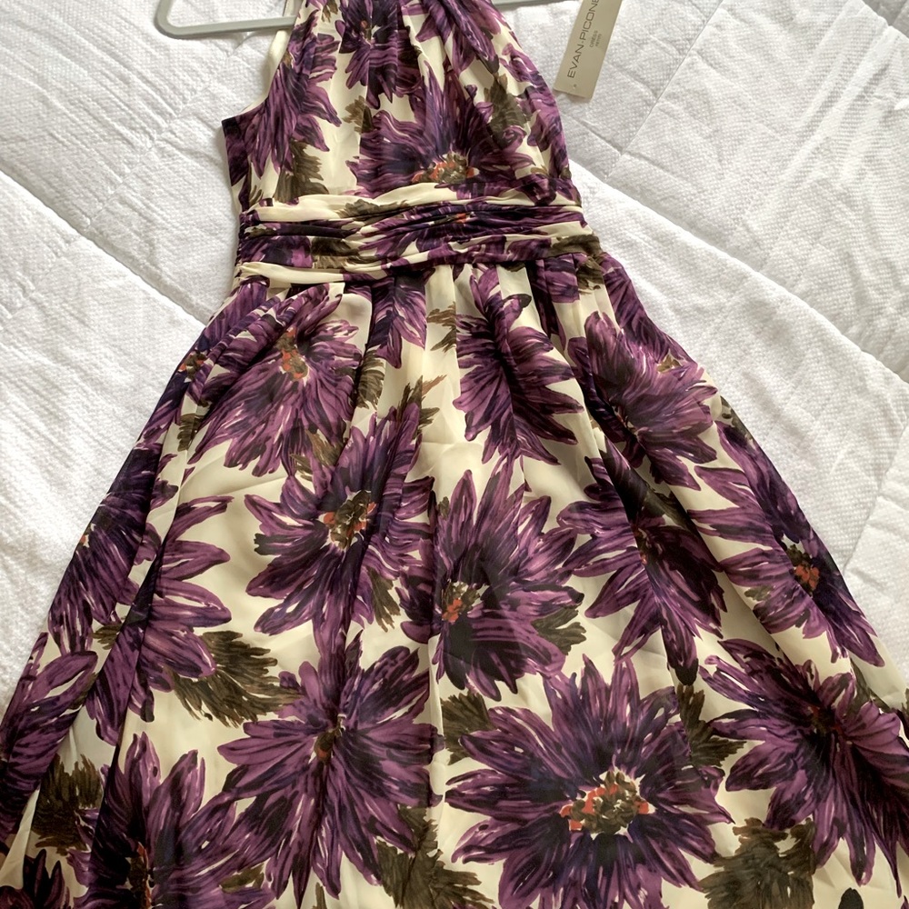 Stunning EVAN-PICONE dress NWT. Size 2P.